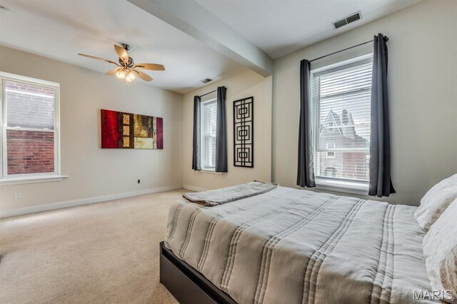 2628 Indiana Ave, Saint Louis, MO 63118 - photo 20