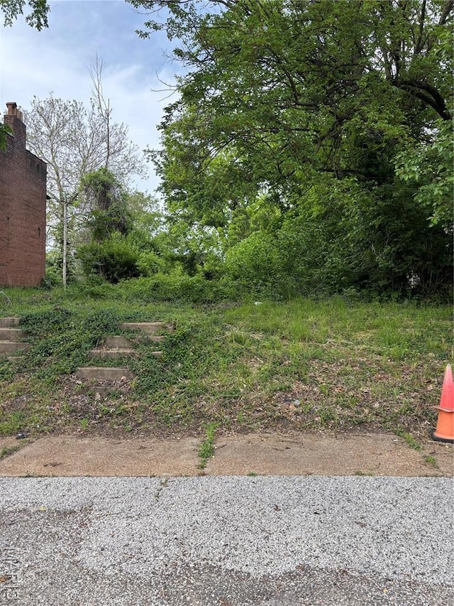 6311 Page Ave, Wellston, MO 63133 - photo 1