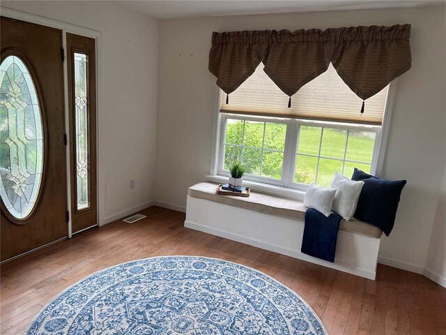 1059 Wolf Crk, Staunton, IL 62088 - entryway featuring hardwood / wood-style floors, healthy amount of natural light, and baseboards