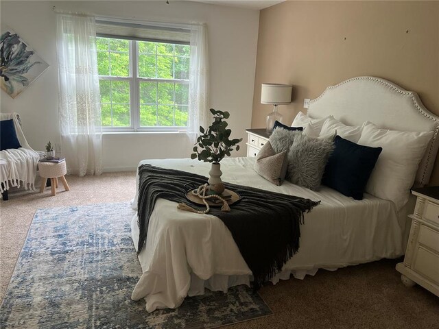 1059 Wolf Crk, Staunton, IL 62088 - view of carpeted bedroom