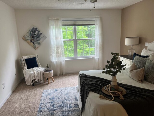 1059 Wolf Crk, Staunton, IL 62088 - bedroom featuring carpet floors and baseboards