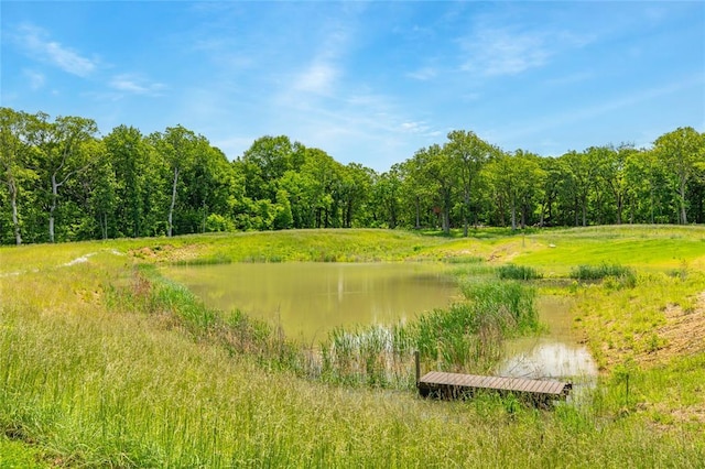 222 Prairietown Rd, Dorsey, IL 62021