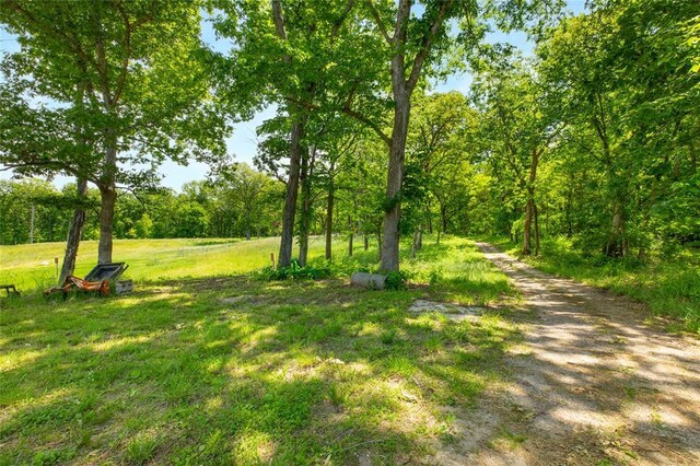 222 Prairietown Rd, Dorsey, IL 62021