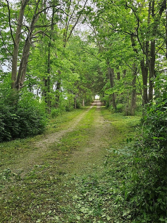 9119 Pearidge Rd, Baldwin, IL 62217 - view of road featuring a view of trees