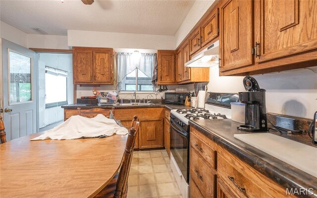 506 E Colorado Ave E, Bland, MO 65014 - photo 14