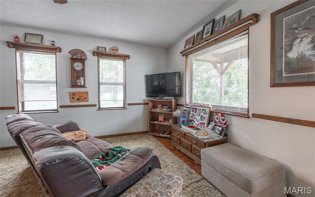 506 E Colorado Ave E, Bland, MO 65014 - photo 17