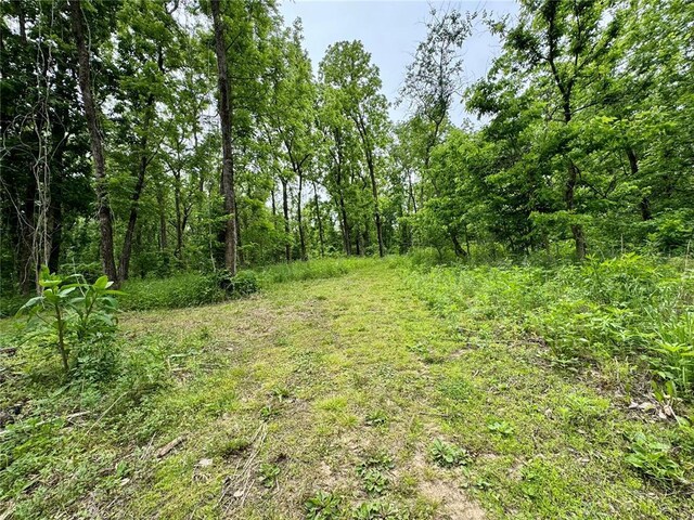 10321 Old 79, Hannibal, MO 63401 - view of tree filled area