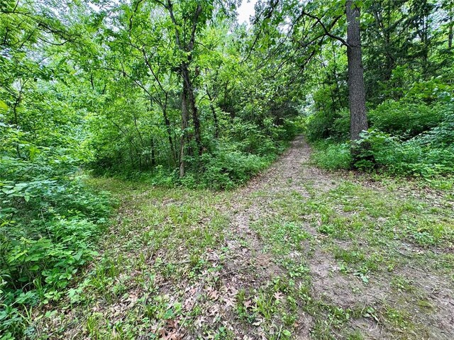 10321 Old 79, Hannibal, MO 63401 - view of tree filled area