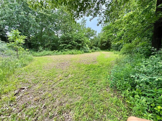 10321 Old 79, Hannibal, MO 63401 - view of yard