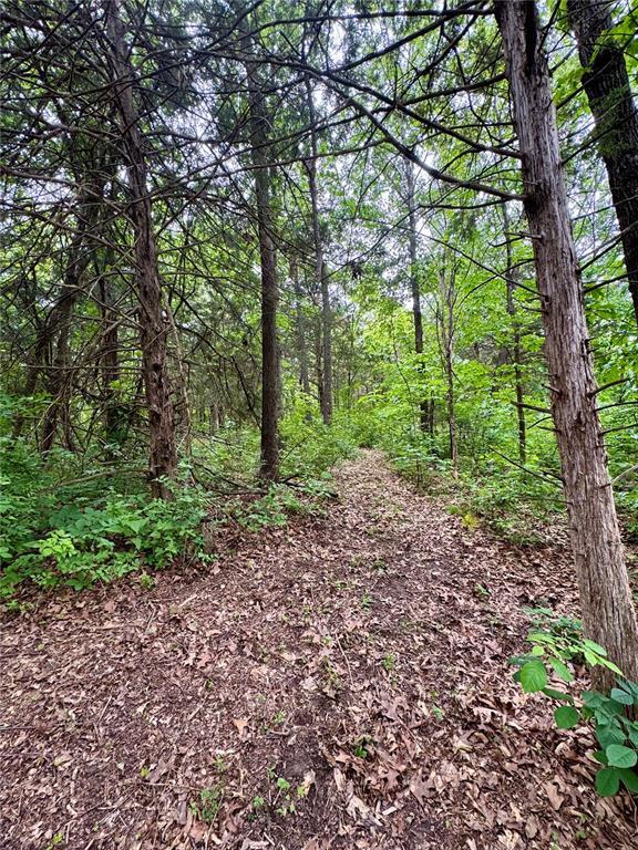 10321 Old 79, Hannibal, MO 63401 - view of woods