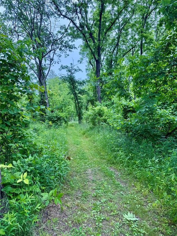 10321 Old 79, Hannibal, MO 63401 - view of nature