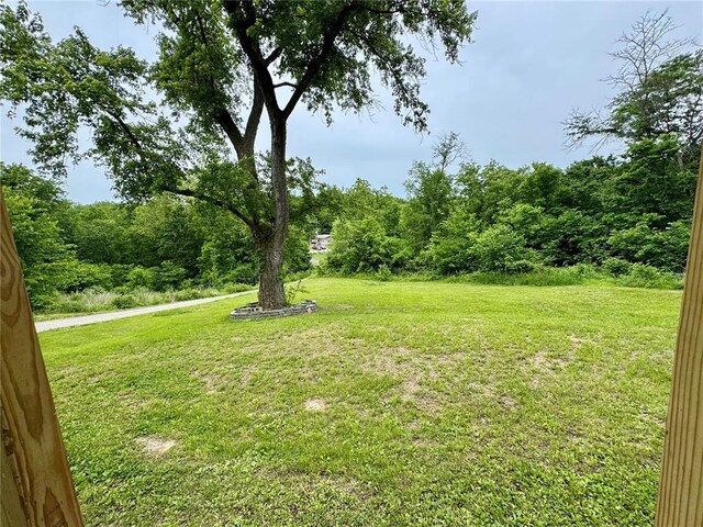 10321 Old 79, Hannibal, MO 63401 - view of grassy yard with a view of trees