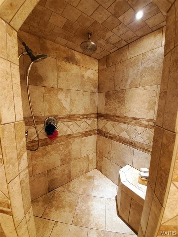 3 Janney Cir, Canton, MO 63435 - bathroom with tiled shower and recessed lighting