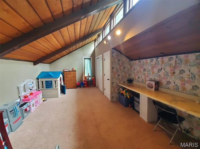 3 Janney Cir, Canton, MO 63435 - playroom featuring wooden ceiling and carpet flooring