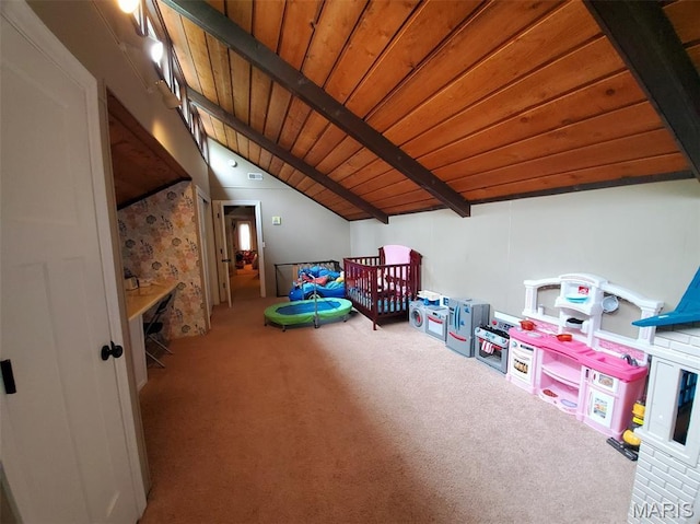 3 Janney Cir, Canton, MO 63435 - playroom featuring carpet flooring and wood ceiling