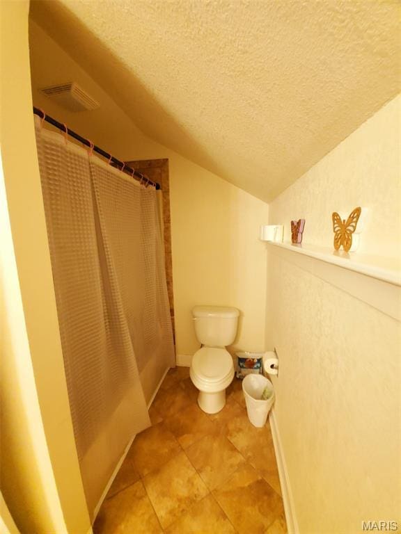 3 Janney Cir, Canton, MO 63435 - bathroom with lofted ceiling, a textured ceiling, and toilet