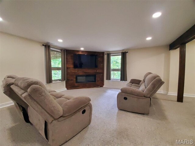 3 Janney Cir, Canton, MO 63435 - living room featuring recessed lighting, carpet, baseboards, and a fireplace