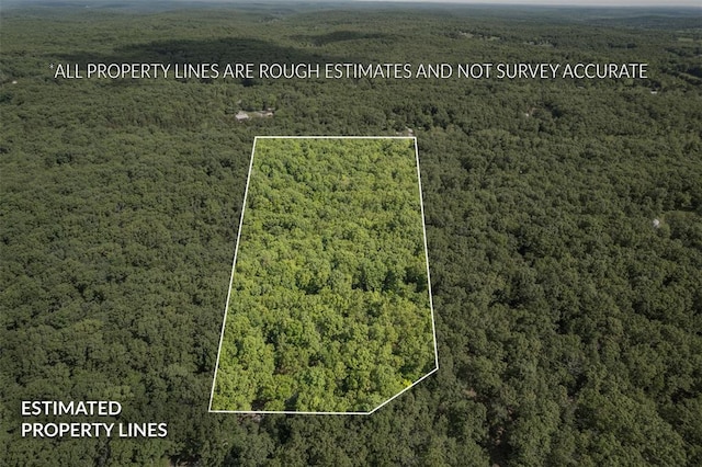 TRACT3 Dusty Rd, Cadet, MO 63630 - photo 1