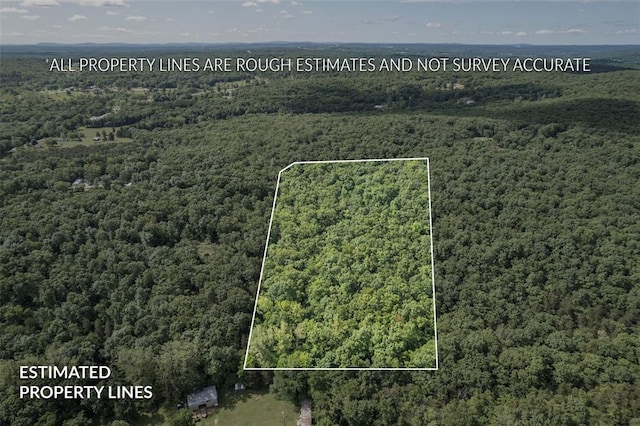 TRACT3 Dusty Rd, Cadet, MO 63630 - photo 2