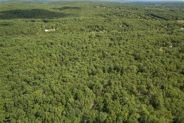 TRACT3 Dusty Rd, Cadet, MO 63630 - photo 3