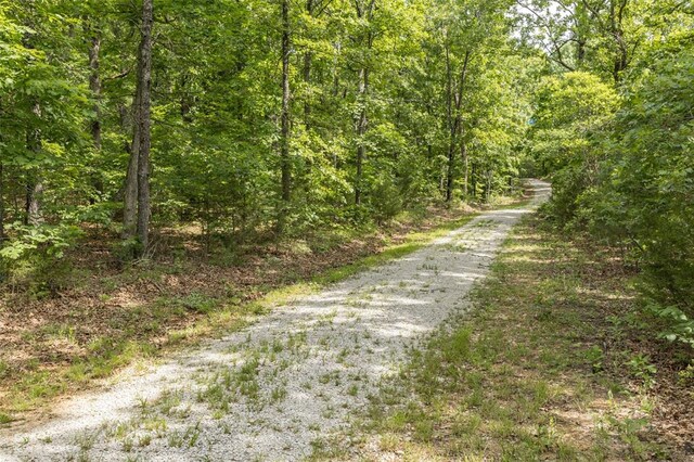 TRACT3 Dusty Rd, Cadet, MO 63630 - photo 4
