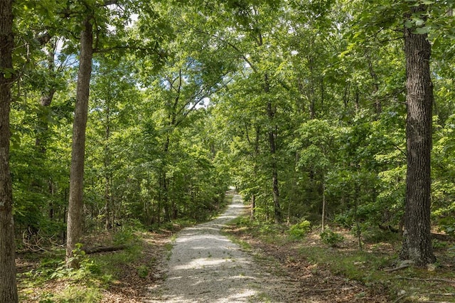 TRACT3 Dusty Rd, Cadet, MO 63630 - photo 5