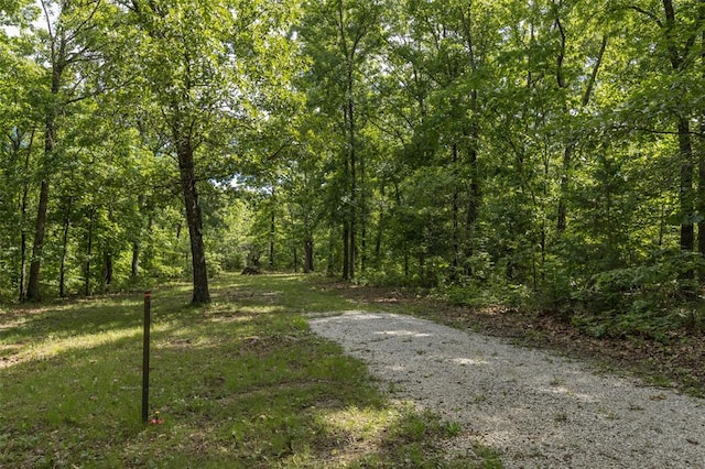 TRACT3 Dusty Rd, Cadet, MO 63630 - photo 6