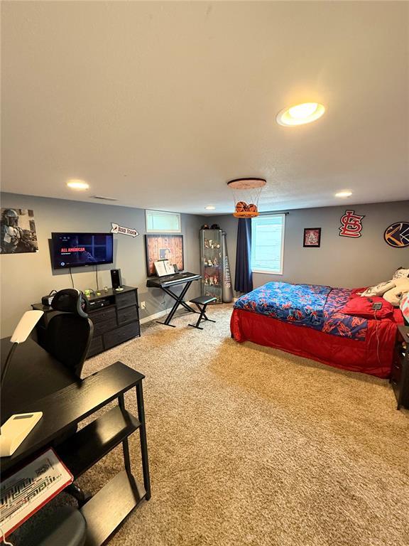 609 E Clark Ln, Plata, MO 63549 - photo 13