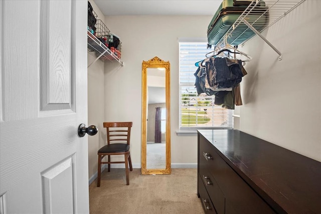 1406 Tisbury Cir, Ofallon, MO 63366 - walk in closet with light carpet