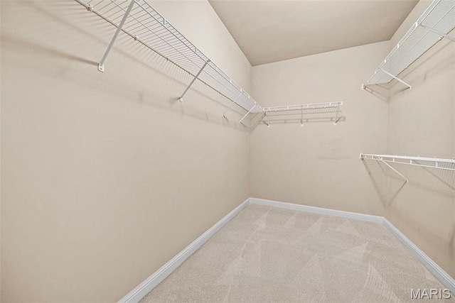 3003 Bear Ridge Dr, Wentzville, MO 63385 - photo 10