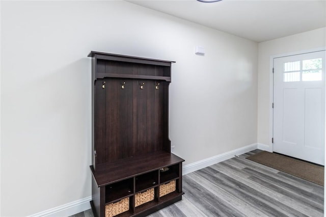 312 Andy Habsieger St, Festus, MO 63028 - mudroom with wood finished floors and baseboards