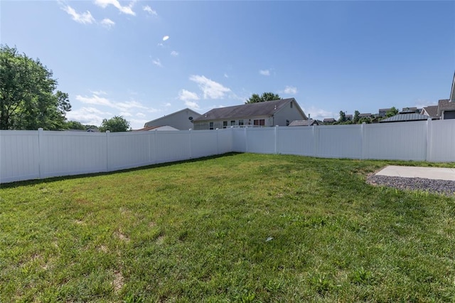 312 Andy Habsieger St, Festus, MO 63028 - view of yard