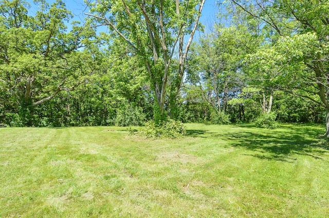 4090 E Pelot Ln, Alton, IL 62002 - view of green lawn