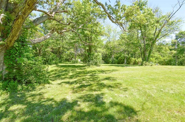 4090 E Pelot Ln, Alton, IL 62002 - view of green lawn featuring a view of trees