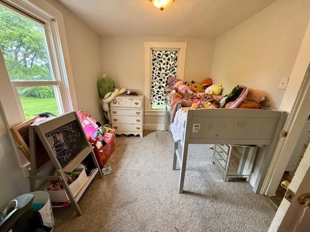 1003 W Spruce St, Jerseyville, IL 62052 - photo 16