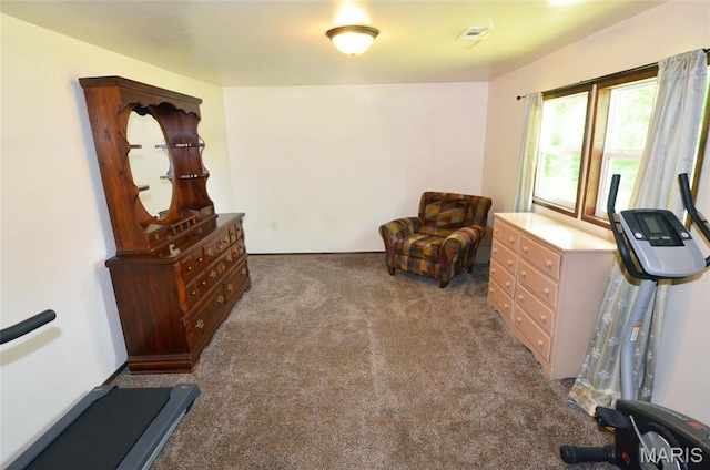 1116 E Springfield Rd, Sullivan, MO 63080 - workout area with carpet floors