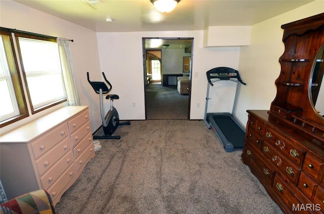 1116 E Springfield Rd, Sullivan, MO 63080 - workout room with carpet floors and baseboards