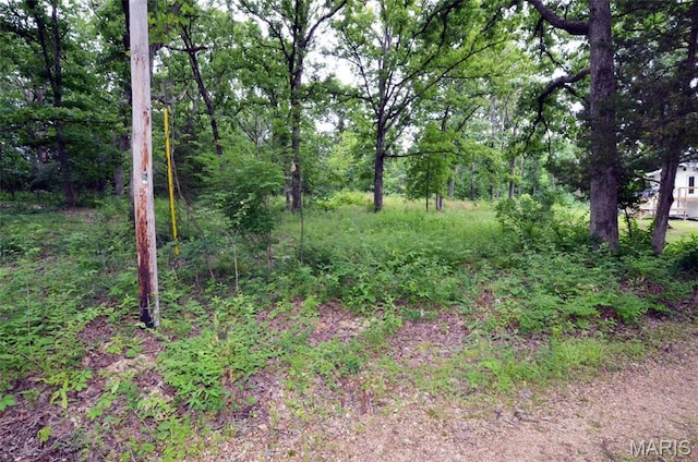 1116 E Springfield Rd, Sullivan, MO 63080 - view of nature