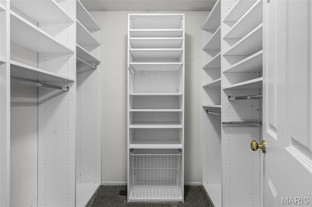 4667 Meramec Blvd, Eureka, MO 63025 - view of walk in closet