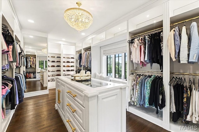 32 Woodoaks Trl, Ladue, MO 63124 - walk in closet with a chandelier and dark wood finished floors