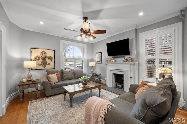 232 N Newstead Ave, Saint Louis, MO 63108 - living area with ornamental molding, a ceiling fan, wood finished floors, a fireplace with raised hearth, and baseboards