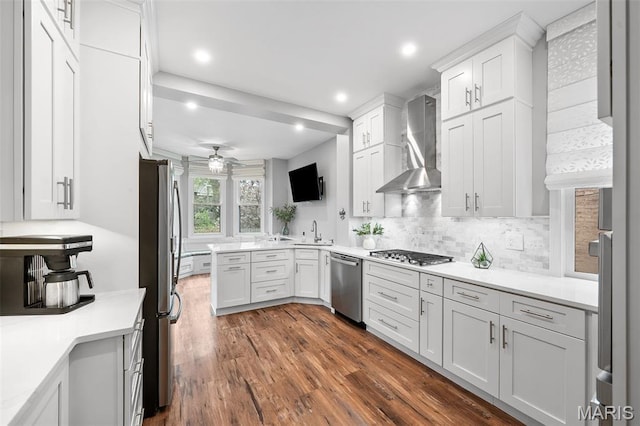 232 N Newstead Ave, Saint Louis, MO 63108 - kitchen featuring wall chimney exhaust hood, stainless steel appliances, a sink, dark wood-style flooring, and ceiling fan
