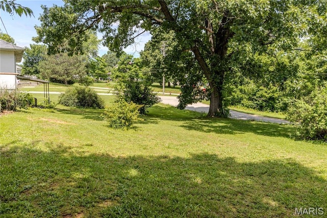 504 N Pine St, Richland, MO 65556 - view of green lawn