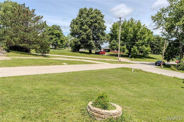 504 N Pine St, Richland, MO 65556 - view of green lawn
