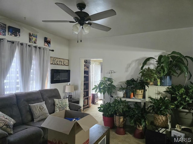346 S Locust St, Dexter, MO 63841 - living room with carpet floors and a ceiling fan