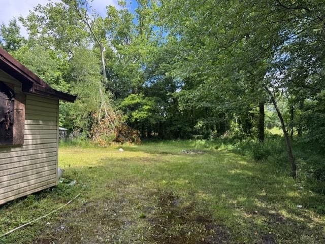 439 E Henry St, Poplar Bluff, MO 63901 - view of grassy yard