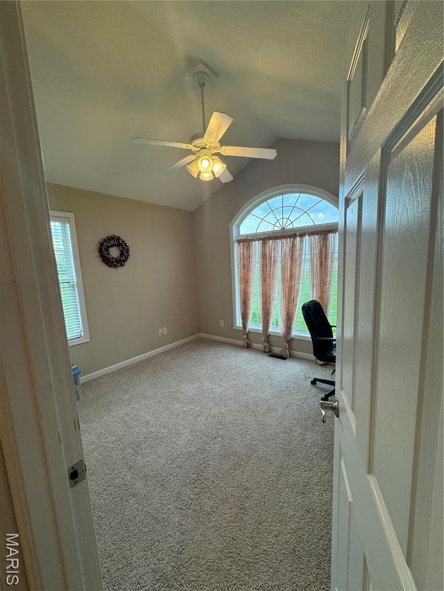 8847 State Route 14th Hwy, Duquoin, IL 62832 - unfurnished office with carpet flooring, vaulted ceiling, plenty of natural light, ceiling fan, and baseboards