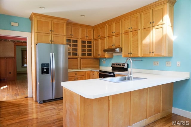 301 S Meramec St, St James, MO 65559 - kitchen with appliances with stainless steel finishes, light wood-type flooring, a peninsula, under cabinet range hood, and light countertops