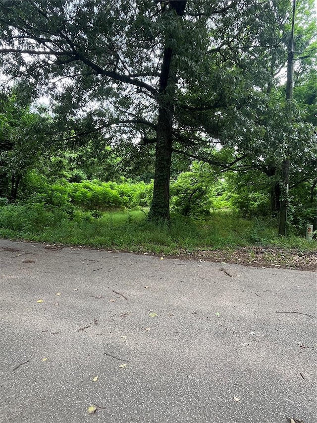 0 Blair St, Kennett, MO 63857 - photo 2