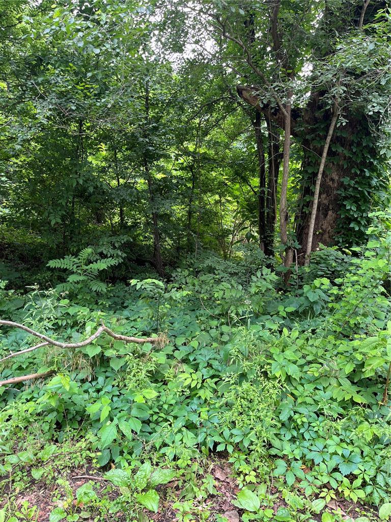 0 Blair St, Kennett, MO 63857 - photo 4